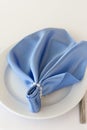 ÃÅ¸ÃÂµÃâ¬ÃÂµÃÂ²ÃÂµÃÂÃâÃÂ¸ ÃÂ²GoogleBingblue napkin decorated with a white plate. Served table for the holidayblue napkin decora